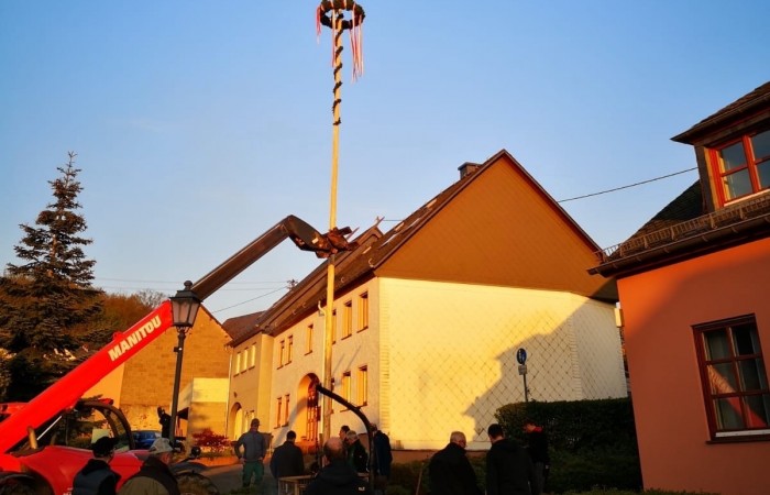 Der Maibaum wird aufgerichtet.