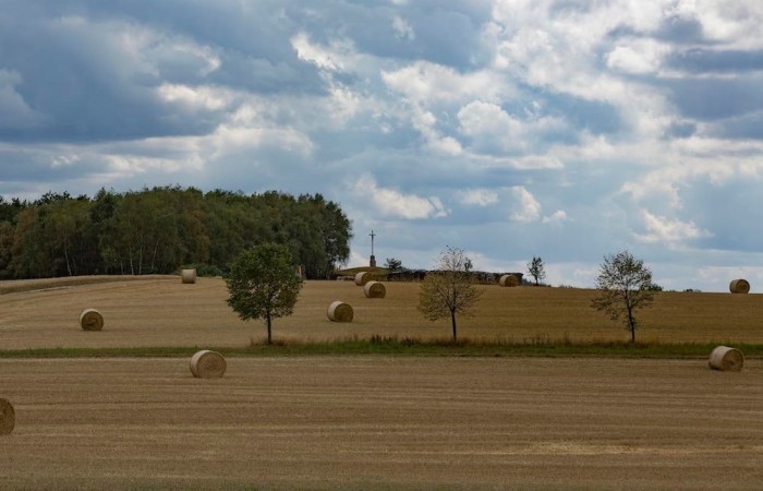 Heuballen vor dem Wolzburger Kreuz (Foto: Alexander Pischikov, Wolzburg), veröffentlicht: 04.10.2020