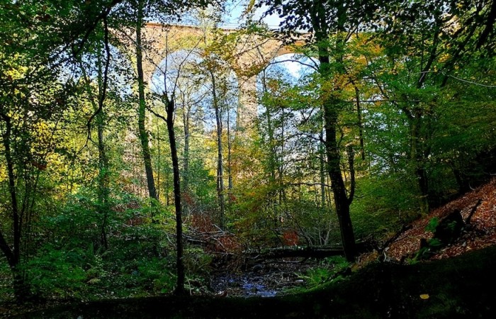 Das Eisenbahn-Viadukt inmitten des bunten Herbstwald (Foto: Hannah Linn), veröffentlicht: 25.10.2020