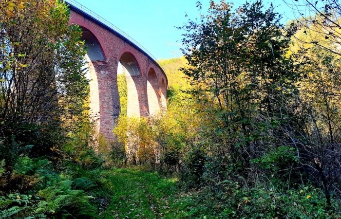 Das Eisenbahn-Viadukt inmitten des bunten Herbstwald (Foto: Hannah Linn), veröffentlicht: 25.10.2020