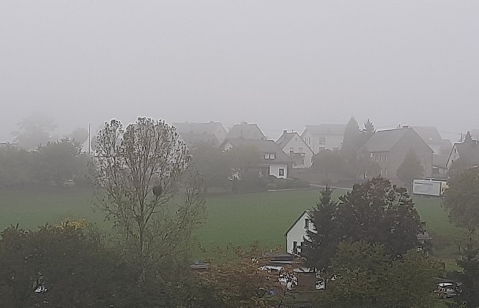 Die Träf in Hoxel im Herbstnebel (Foto: Manfred Rentmeister), veröffentlicht: 17.10.2020