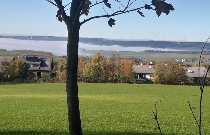 Nebelschwaden - im Vordergrund der 