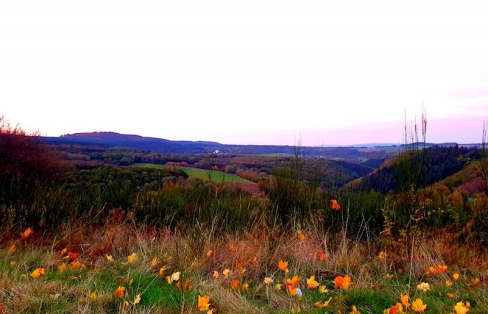 Sonnenaufgang an Hannah's Lieblingsplatz mit Blick in den Edenbruch, auf Alt-Morscheid und Deuselbach (Foto: Hannah Linn), veröffentlicht: 25.10.2020