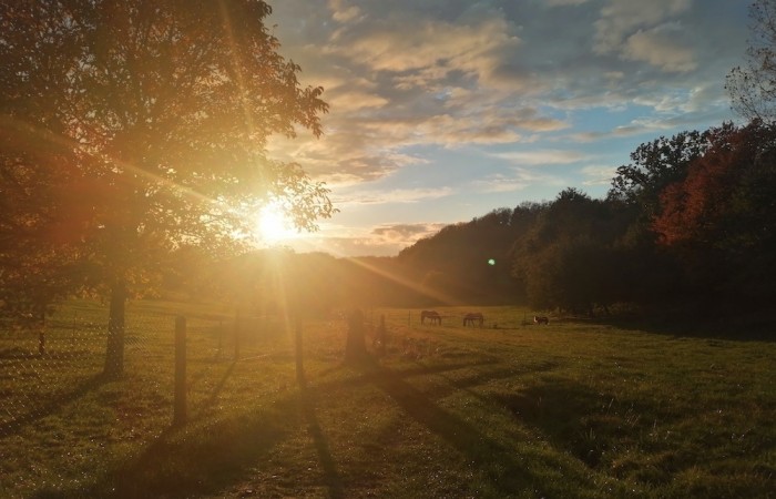 Das Wiesental mit Blick von Hoxel Richtung Morscheid (Foto: Matthias Decker), veröffentlicht: 31.10.2020