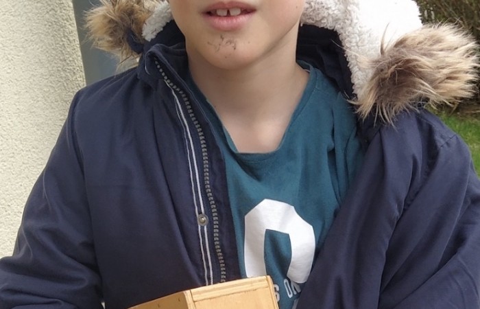 Michel Mergener, Hoxel