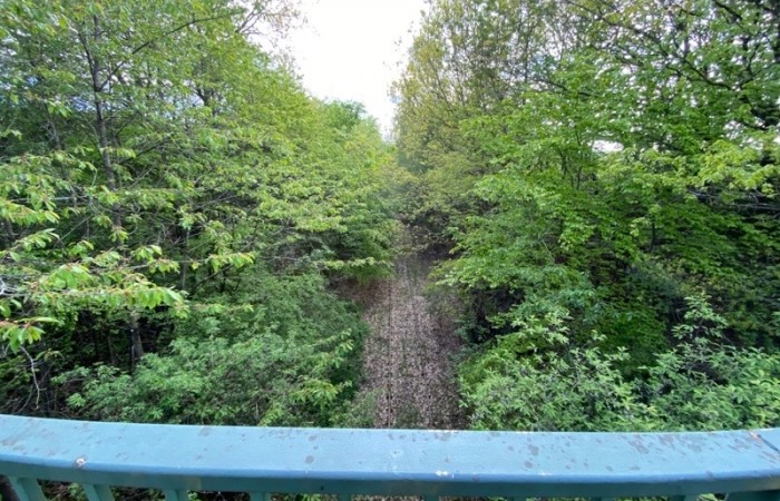 Mystisch - die Überquerung der alten Hunsrückbahn