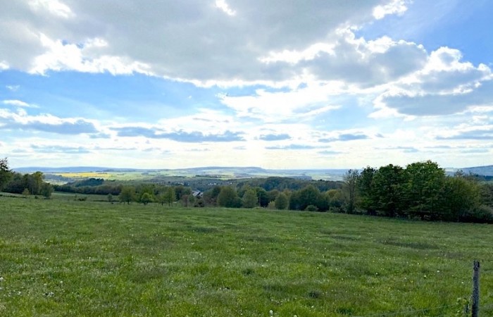Fern- und Weitblick Richtung Mosel