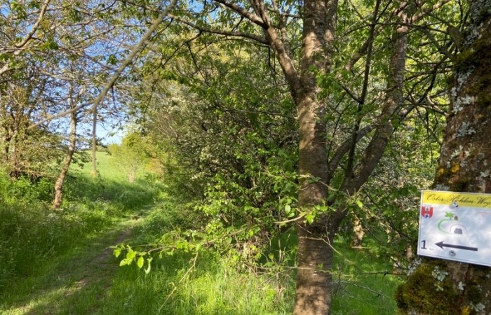 Der letzte Kilometer führt durchs