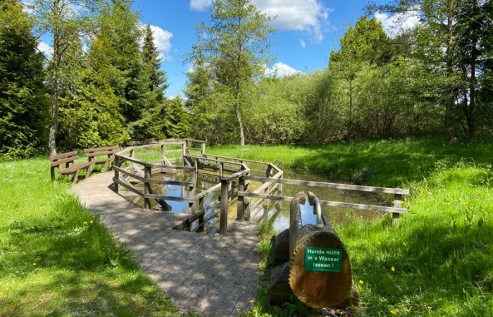 Das Hoxeler Tretbecken bietet an heißen Tagen Groß & Klein Erfrischung